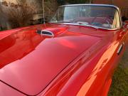 image_2-FORD Thunderbird cabriolet - 1955