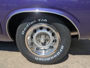 image_110-DODGE Challenger 440 six pack R/T - 1971