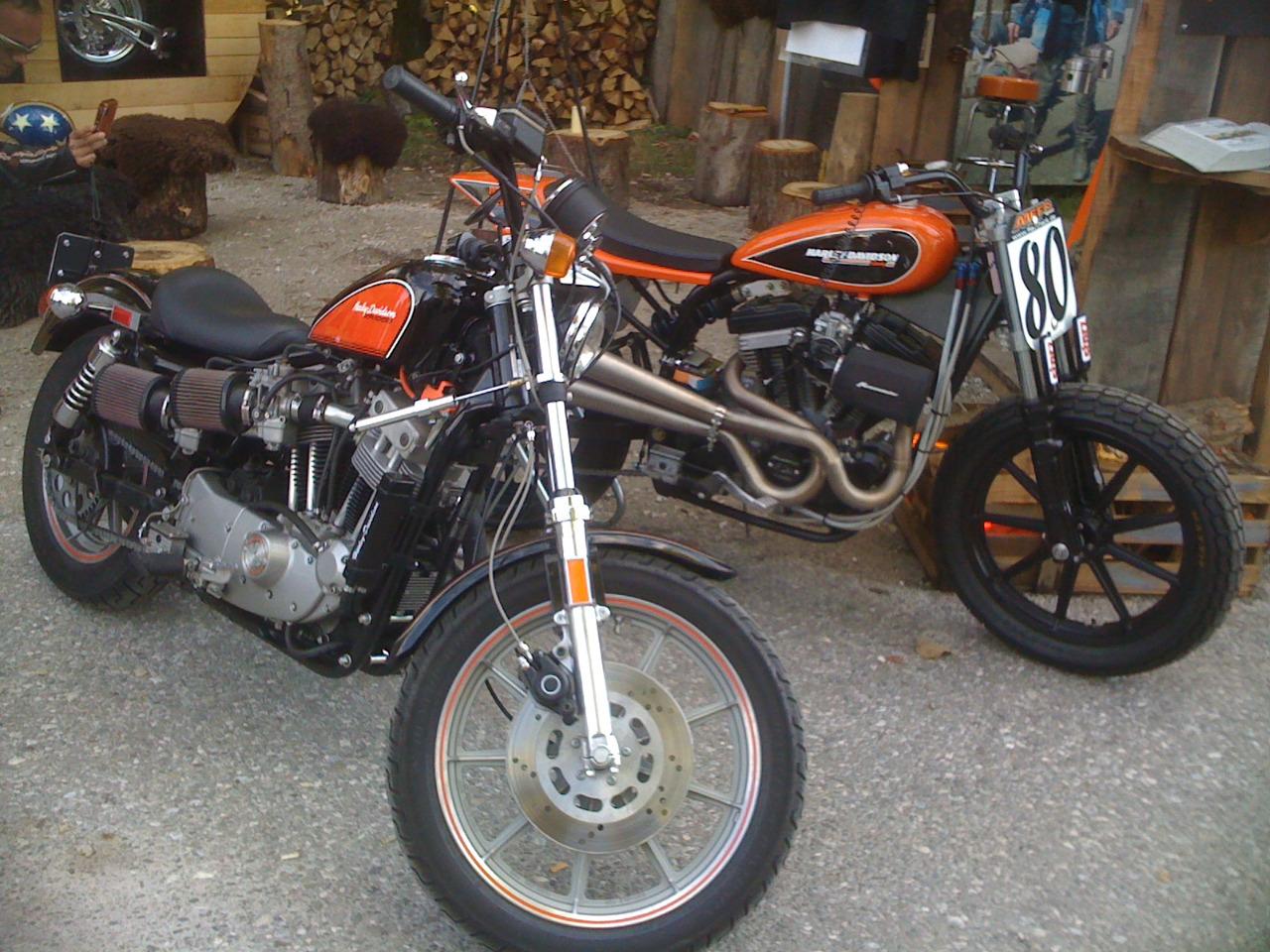 HARLEY DAVIDSON Sportster XR 1000 - 1984 LesAnciennes.com