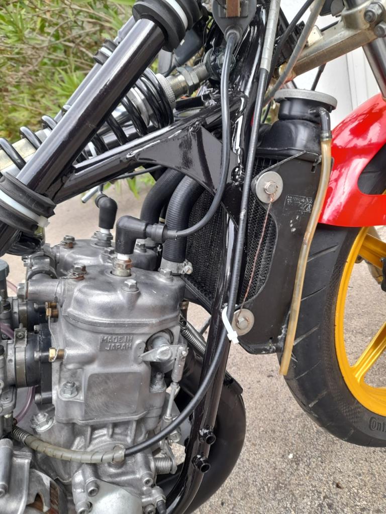 YAMAHA TZ 250 5f7 - 1981 LesAnciennes.com
