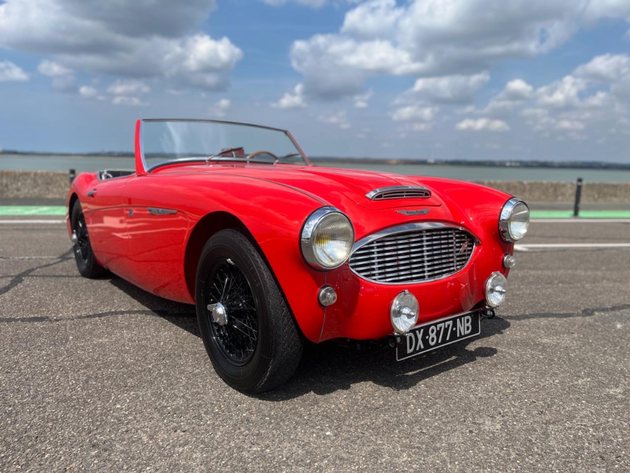 AUSTIN HEALEY 100 BN4 - 1958 LesAnciennes.com