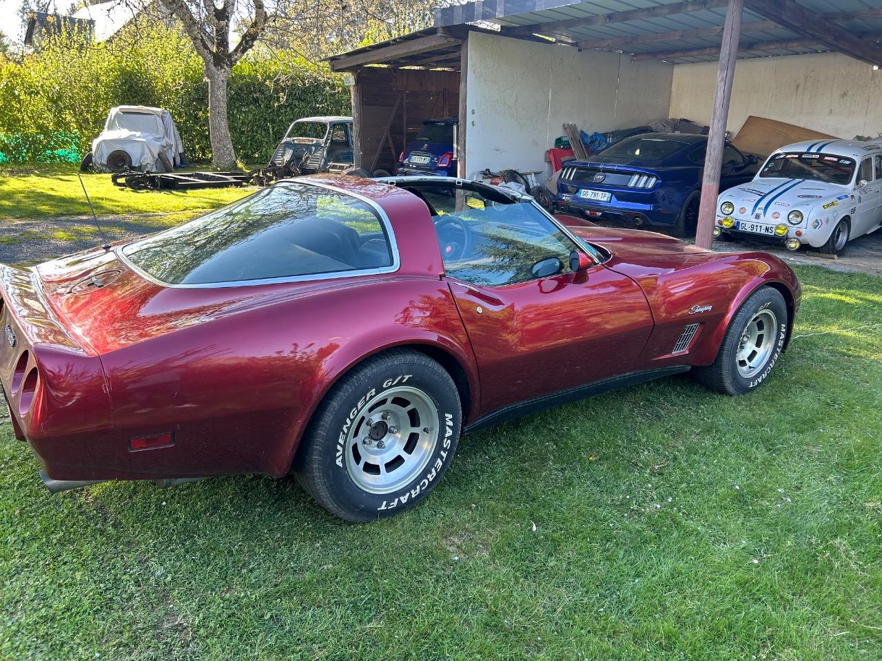 CHEVROLET Corvette - 1981 LesAnciennes.com