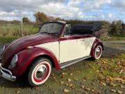 image_9-VOLKSWAGEN Coccinelle Cabriolet - 1959