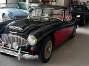 image_5-AUSTIN HEALEY 100-6 Cab BN6 117cv - 1957