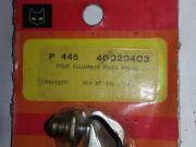 image_0-Vis platinées PEUGEOT 305