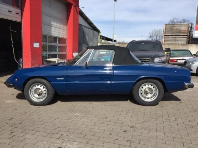 ALFA ROMEO Spider Spider 1600 - 1981 LesAnciennes.com
