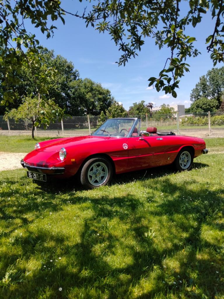 ALFA ROMEO 2000 spider - 1977 LesAnciennes.com