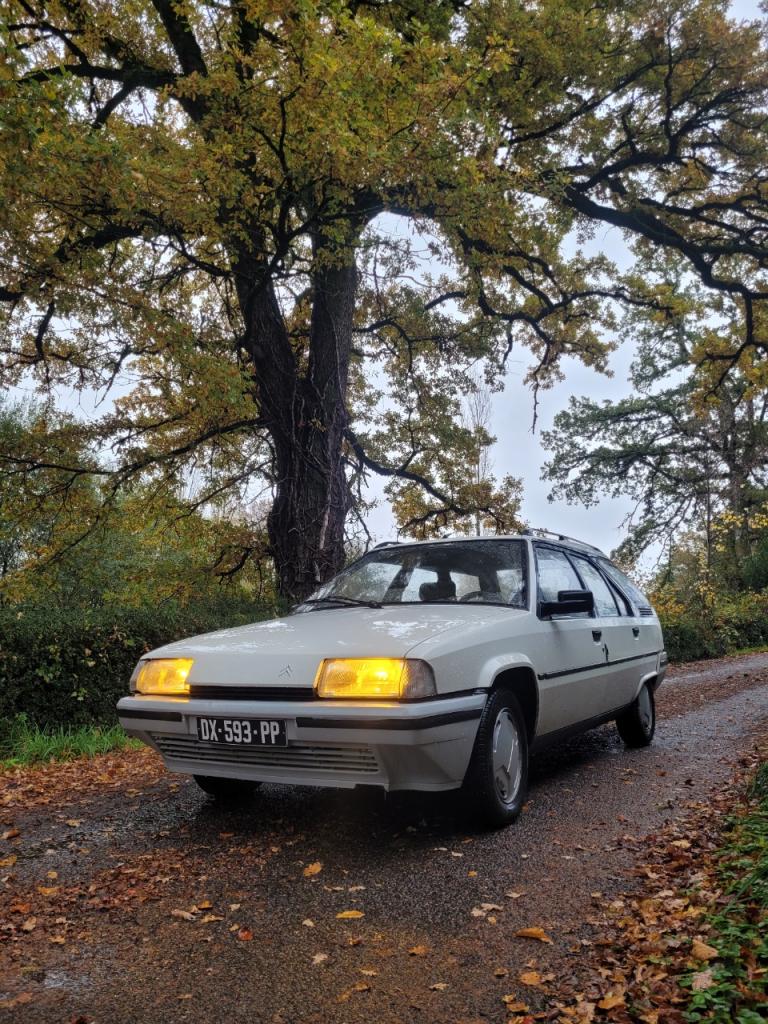 CITROEN BX Trd turbo evasion - 1989 LesAnciennes.com