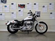 image_3-HARLEY DAVIDSON Sportster 883 LOW