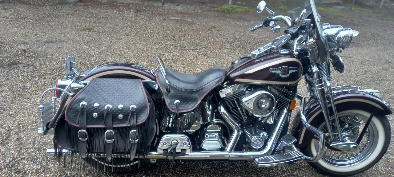 HARLEY DAVIDSON Springer 1340 FXSTSL - 1998 LesAnciennes.com