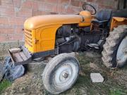 image_1-RENAULT D22 - 1956