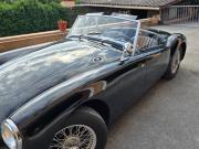 image_3-MG MGA 1500 - 1955