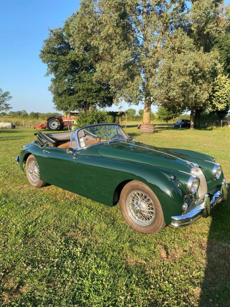 JAGUAR XK150 3.8 - 1959 LesAnciennes.com
