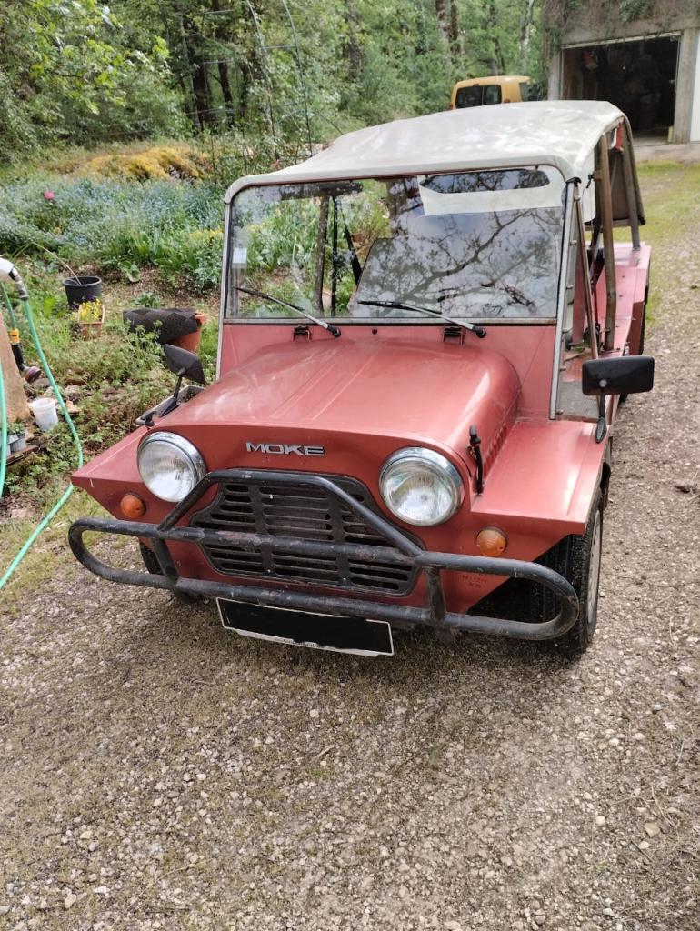 AUSTIN moke portugaise - 1987 LesAnciennes.com
