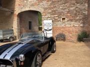 image_1-AC Cobra Everett-Morrison 427 - 1993