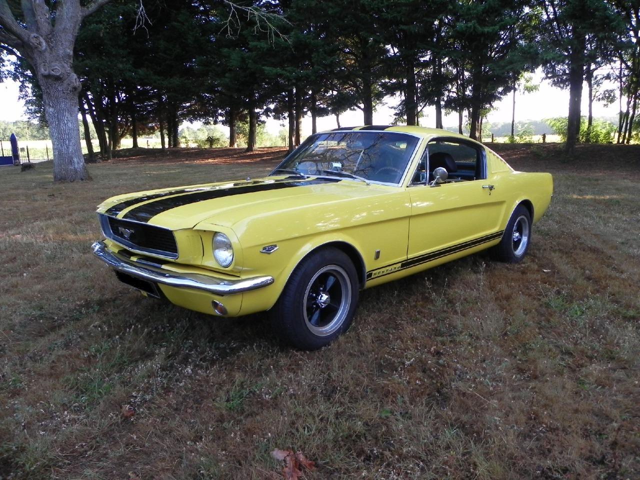 FORD Mustang FORD MUSTANG FASTBAC - 1966 LesAnciennes.com