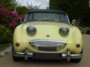 image_20-AUSTIN HEALEY Sprite Mk1 - Frogeye - 1959