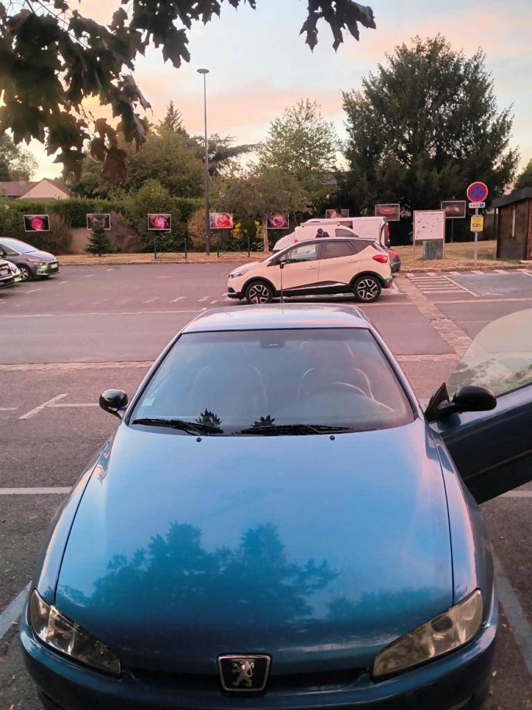 2001 Peugeot 406, foto 2
