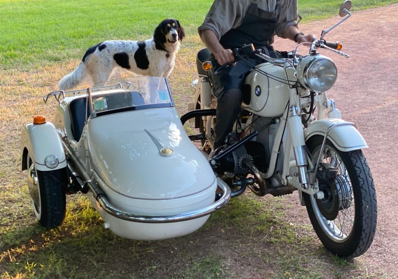 BMW R50 /2 - 1964 LesAnciennes.com