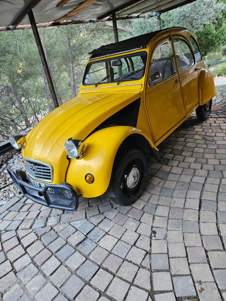 CITROEN 2CV 6 - 1990 LesAnciennes.com