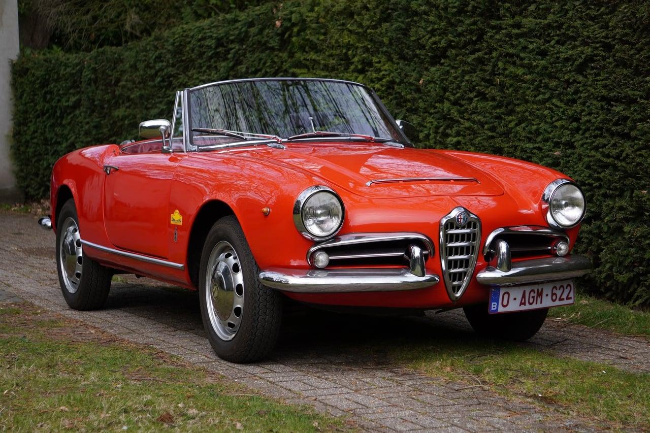 1964 Alfa Romeo Giulia Spider 1600 LesAnciennes.com