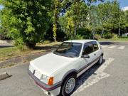 image_0-PEUGEOT 205 GTI - 1989