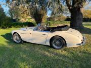 image_2-AUSTIN HEALEY 3000 MK2 BJ7 2+2 - 1963