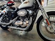 image_5-HARLEY DAVIDSON Sportster 883 LOW