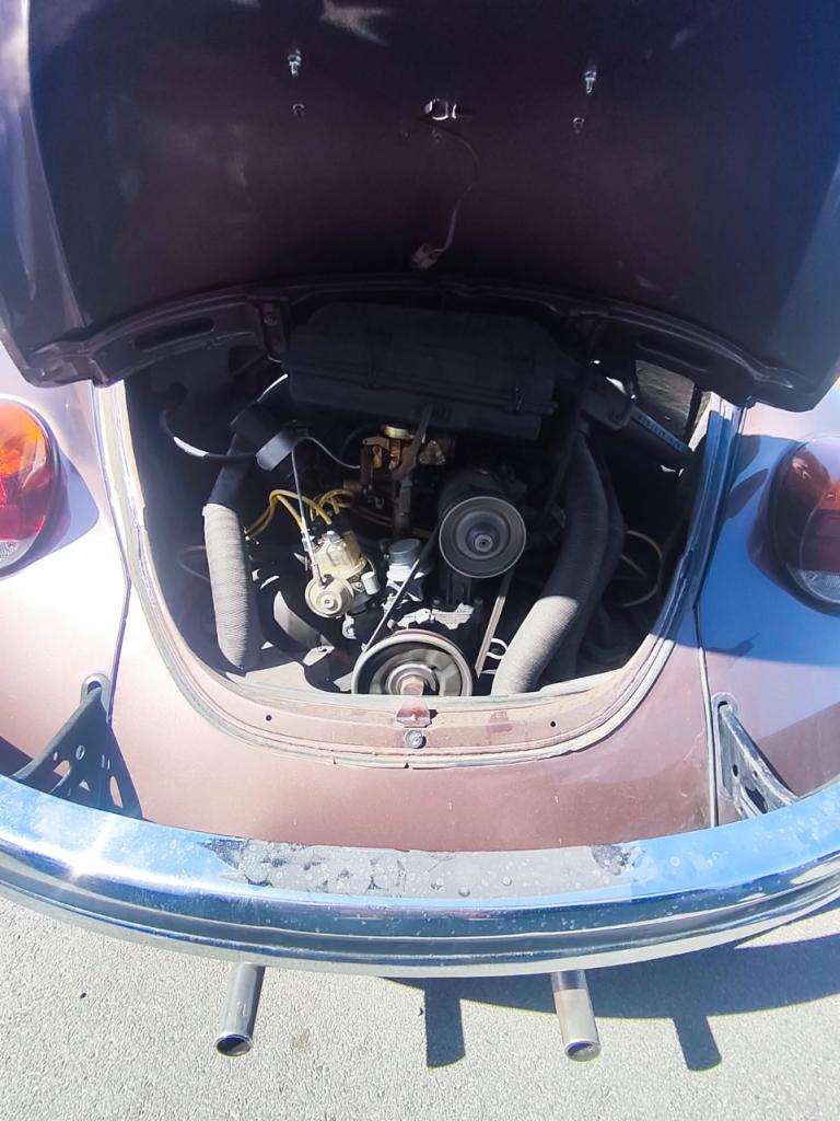 1983 VOLKSWAGEN Coccinelle, foto 6
