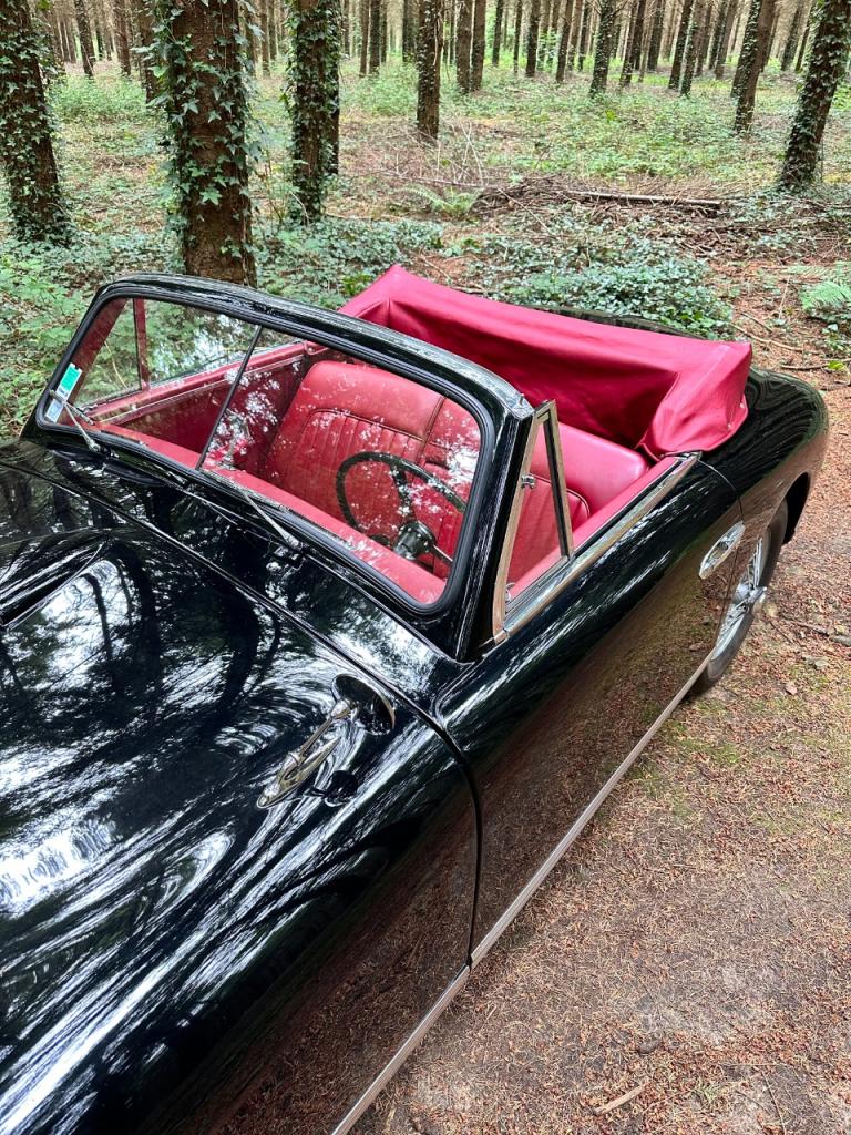 ASTON MARTIN DB2 DROPHEAD COUPE - 1953 LesAnciennes.com
