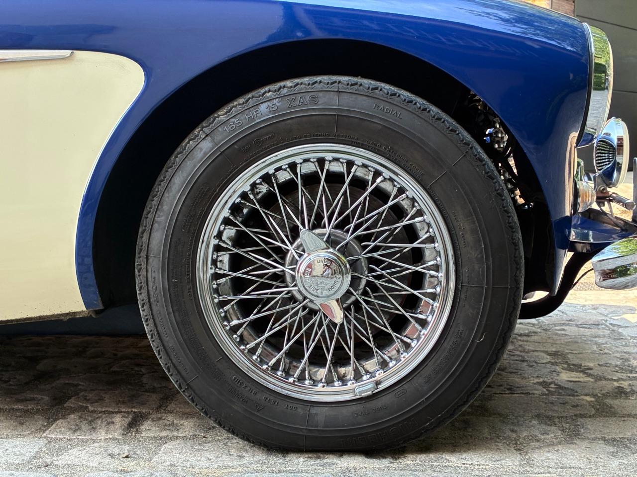 AUSTIN HEALEY 3000 MKI - BN7 - 1959 LesAnciennes.com