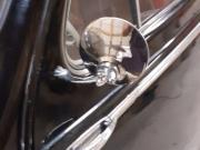 image_21-PEUGEOT 203 - 1953
