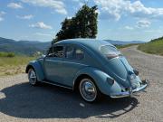 image_1-VOLKSWAGEN Coccinelle OVAL - 1957