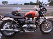 image_0-TRIUMPH Bonneville T100 - 2003