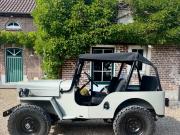 image_0-JEEP Willys CJ3B - 1956