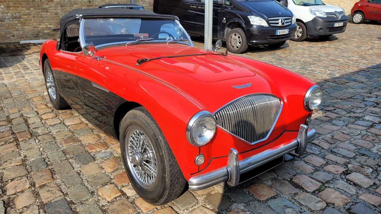 AUSTIN HEALEY 100 BN2 - 1956 LesAnciennes.com