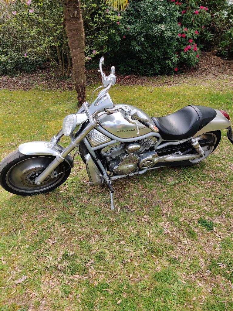 HARLEY DAVIDSON VROD VRSCA - 2002 LesAnciennes.com