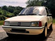 image_1-PEUGEOT 205 Green - 1989