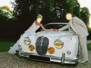 image_5-JAGUAR MK2 - 1960