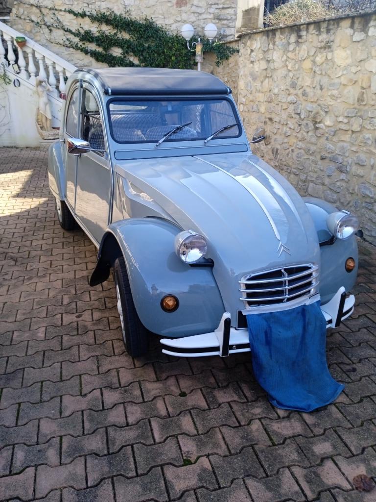 CITROEN 2CV 6 - 1977 LesAnciennes.com