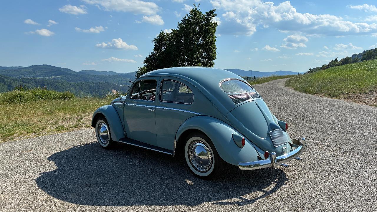 VOLKSWAGEN Coccinelle 1/11 - 1957 LesAnciennes.com
