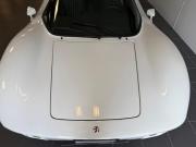 image_9-VOLKSWAGEN Bianco SS - 1978