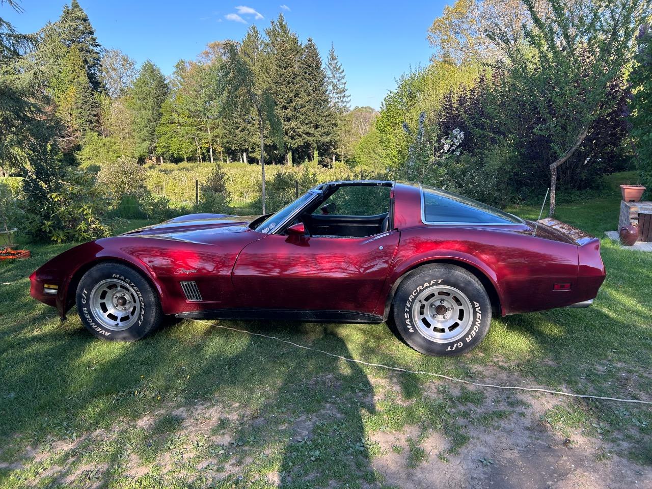 CHEVROLET Corvette - 1981 LesAnciennes.com