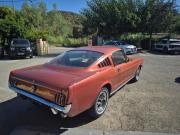 image_3-FORD Mustang FASTBACK 289 CI - 1968