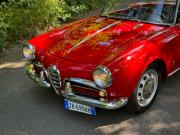 image_10-ALFA ROMEO Giulietta Spider 750D - 1957
