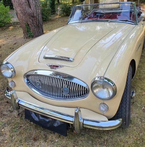 AUSTIN HEALEY 3000 BJ8 - 1965 LesAnciennes.com