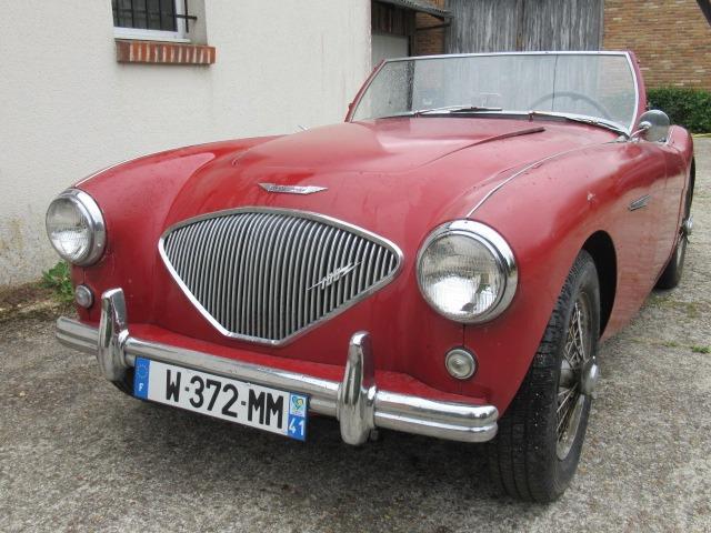 AUSTIN HEALEY 100 BN1 - 1955 LesAnciennes.com