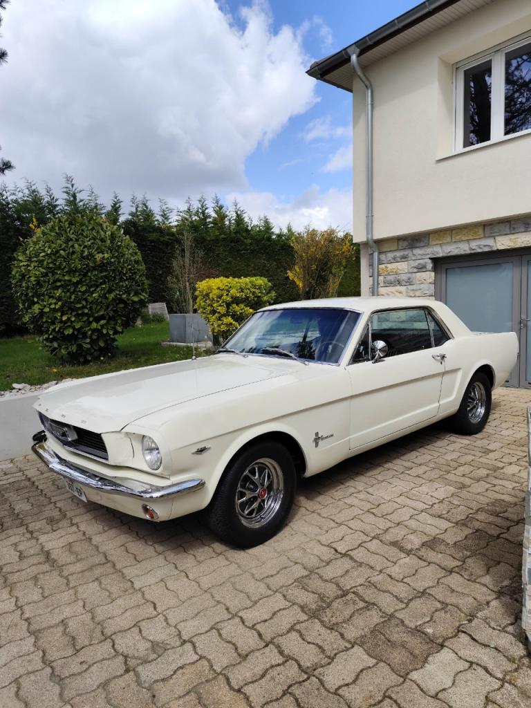 FORD Mustang 289 - 1966 LesAnciennes.com