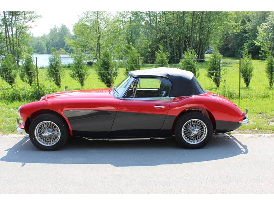 AUSTIN HEALEY 3000 - 1964 LesAnciennes.com
