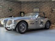 image_0-AUSTIN HEALEY 100 BN2 - 1956